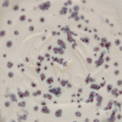 Indigo Rain - 16 oz Mayco Stoneware Glaze Indigo Rain - 16 oz Mayco Stoneware Glaze