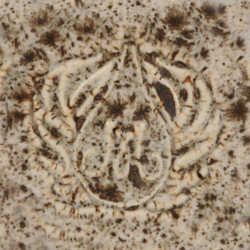 Winter Wood - 16 oz Mayco Stoneware Glaze Winter Wood - 16 oz Mayco Stoneware Glaze