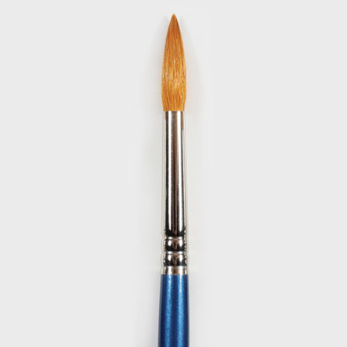 #8 Pointed Round Brush #8 Pointed Round Brush