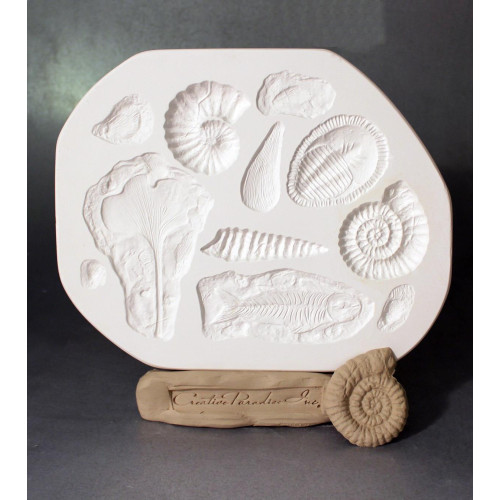 Fossils Sprig Mold Fossils Sprig Mold